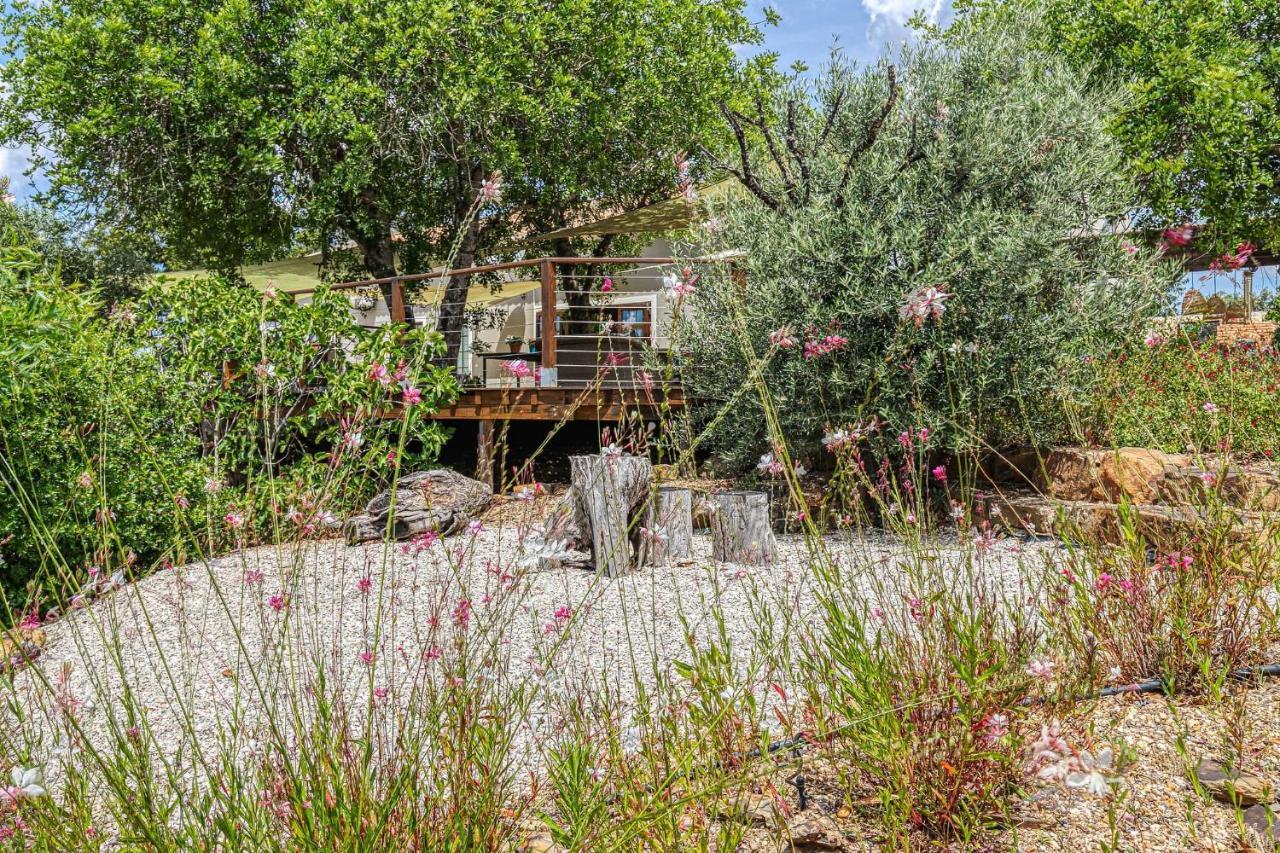 Pedreiras  Figs On The Funcho Self Catering - A River Side Location מראה חיצוני תמונה